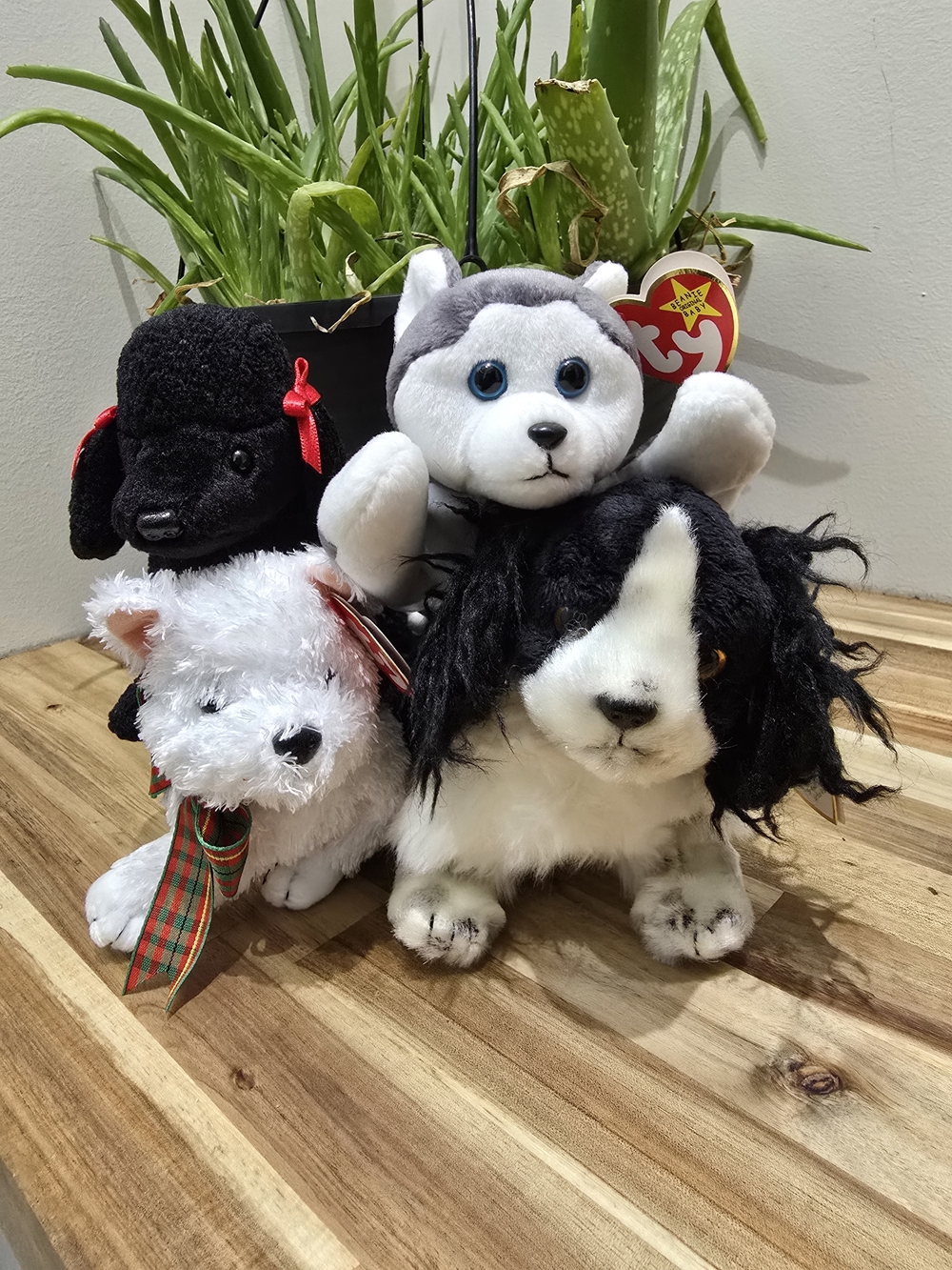 Ty Dog Beanie Baby Bundle